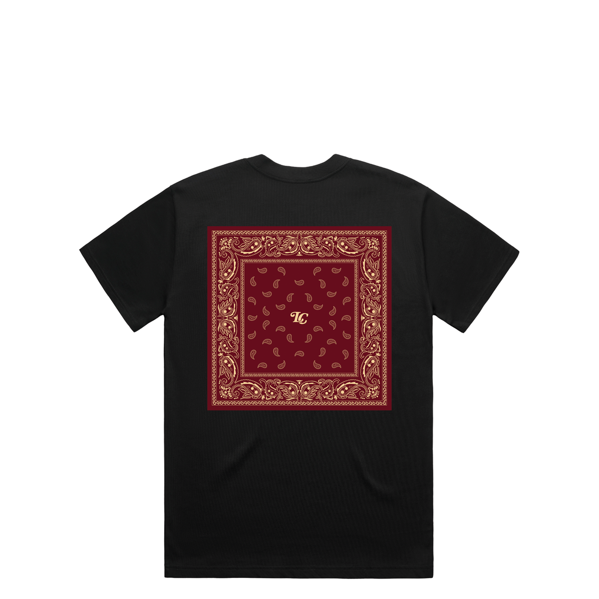 Bandana T-Shirt in Black, alternate view