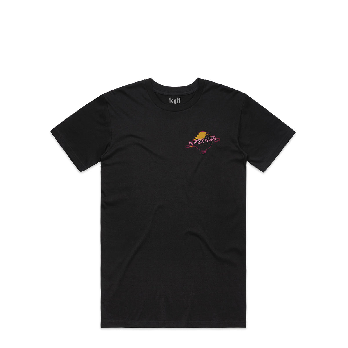 The World Is Yours T-Shirt in Black, alternate view